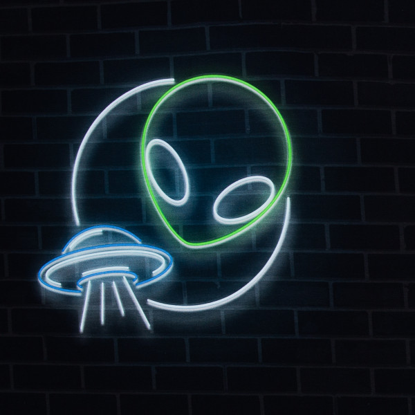 French Terry Panel Glow Alien by Lycklig Design